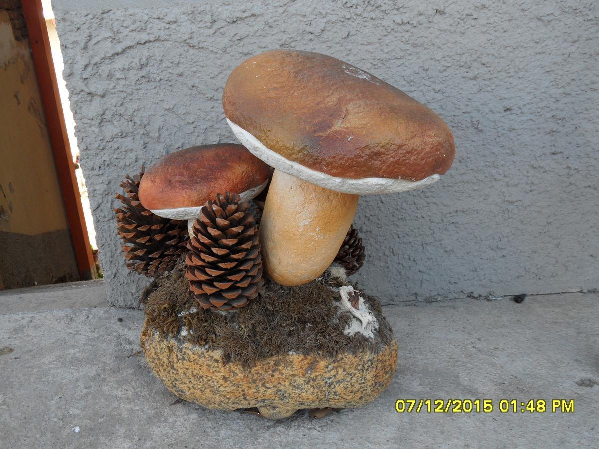 Bed & Breakfast Garrupa Marcellinara Dış mekan fotoğraf